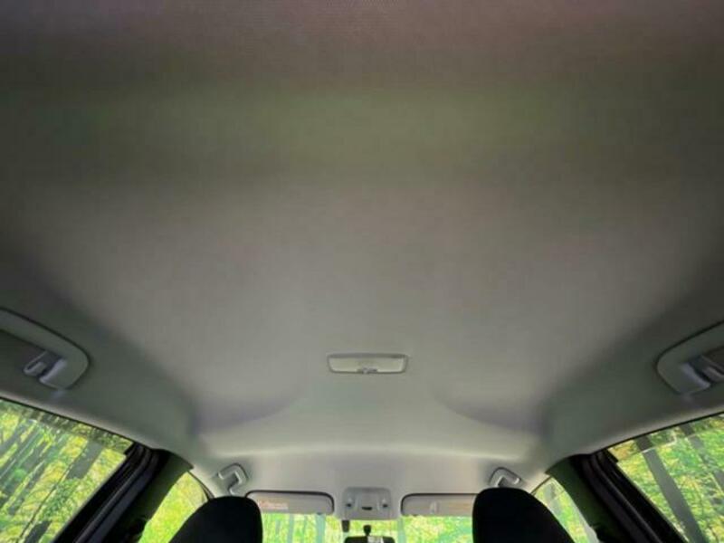 PRIUS-16