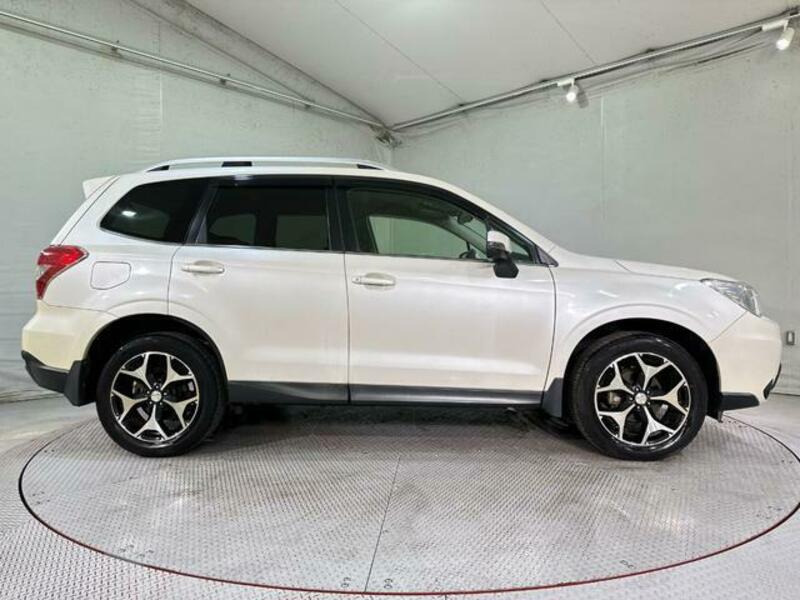 FORESTER-13