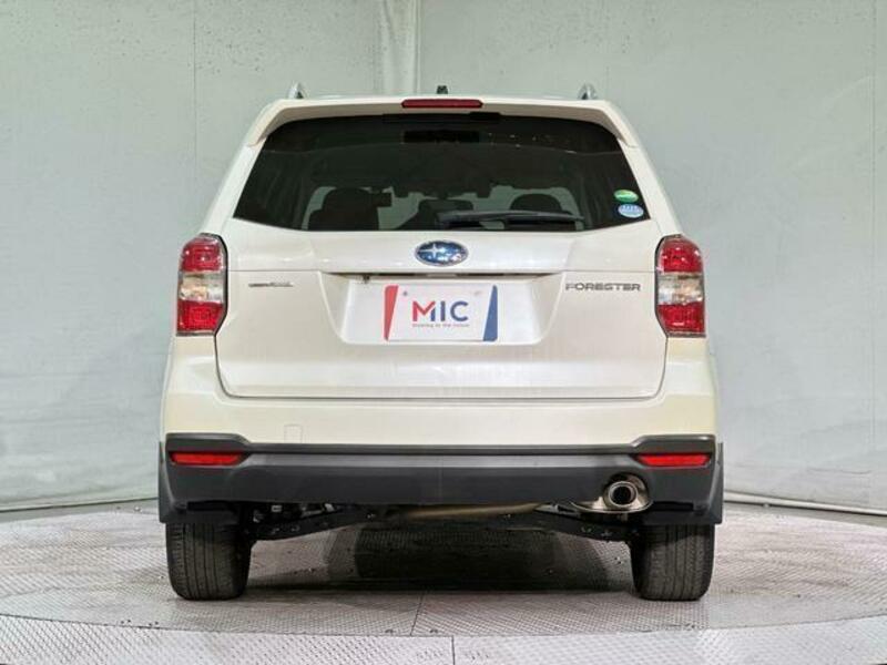 FORESTER-15