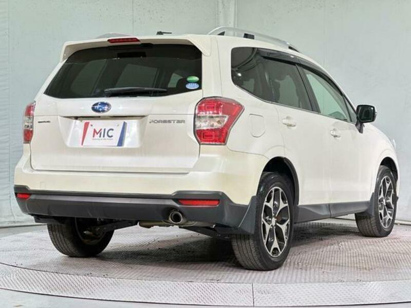 FORESTER-16