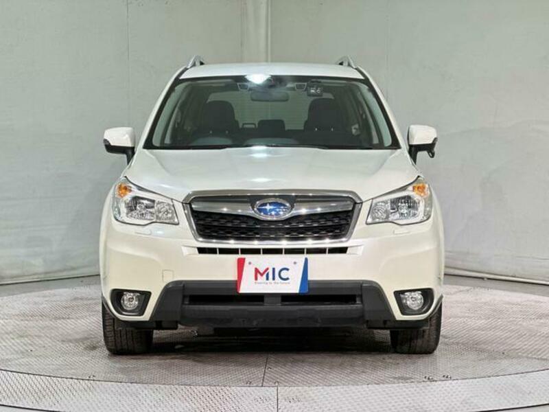 FORESTER-11