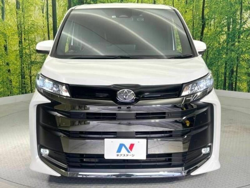 NOAH-15