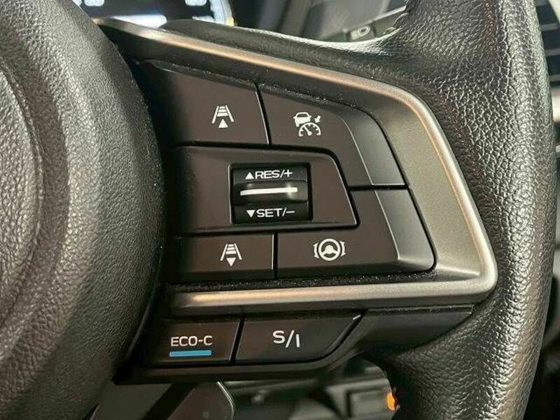 FORESTER-4