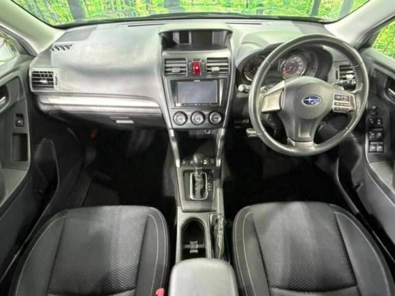 FORESTER-1