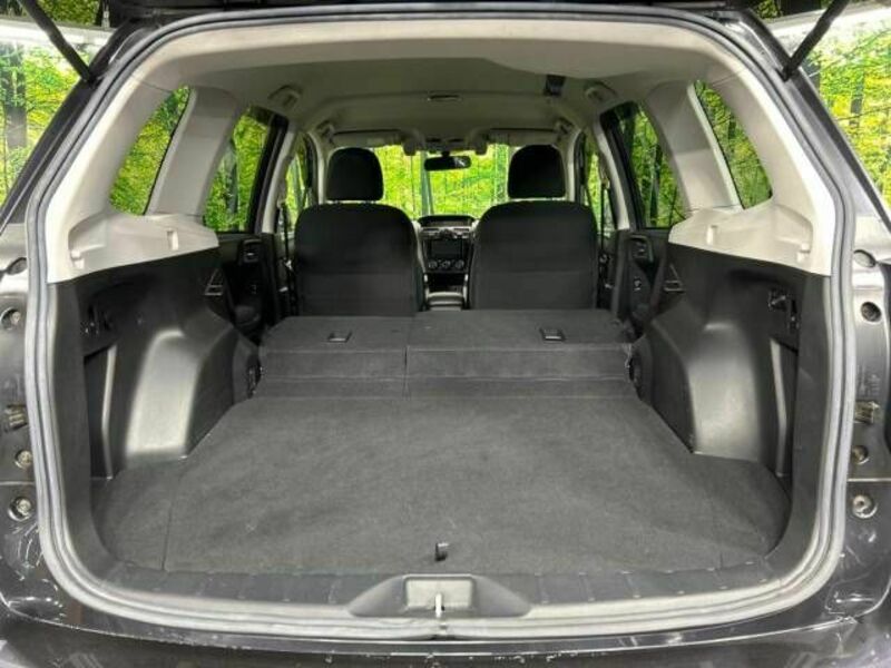 FORESTER-10