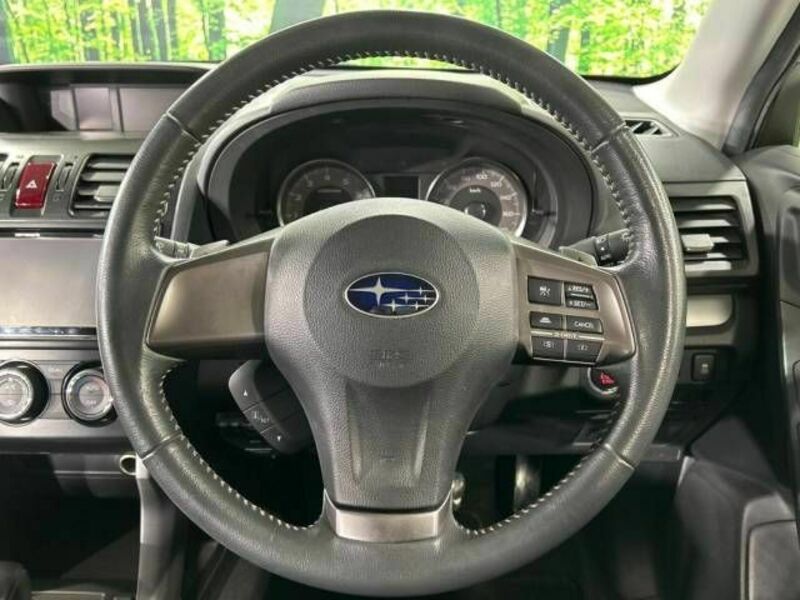FORESTER-11