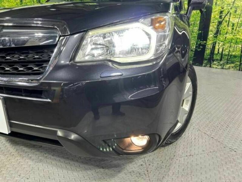 FORESTER-12