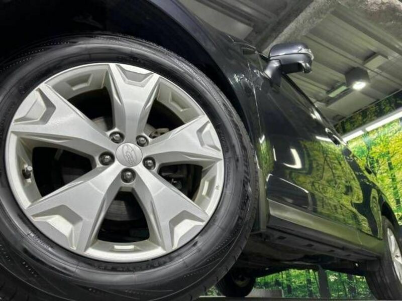 FORESTER-13