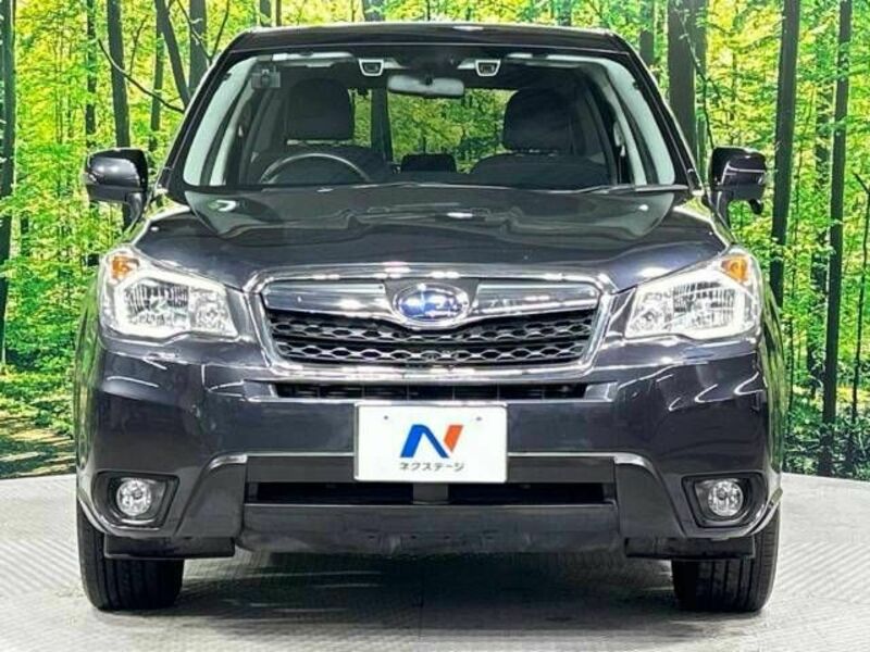 FORESTER-14