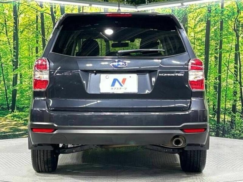 FORESTER-15