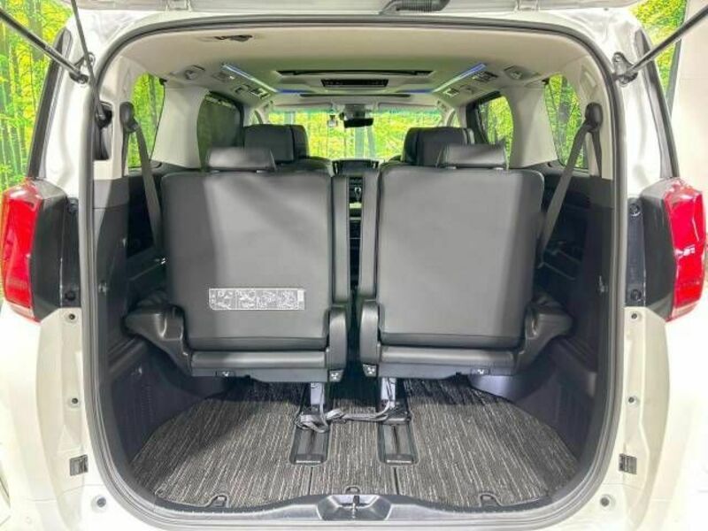 ALPHARD-10