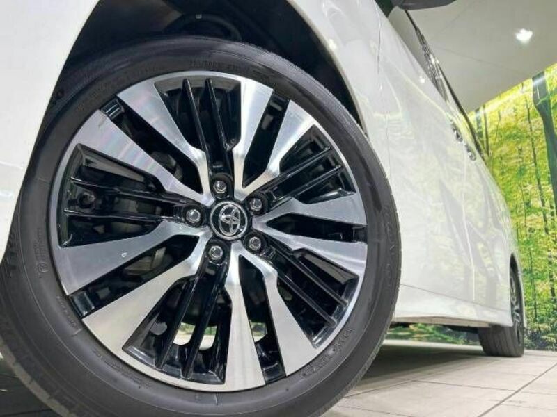 ALPHARD-13