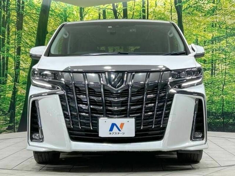ALPHARD-14