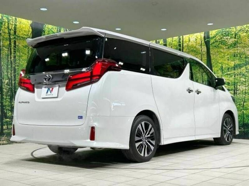ALPHARD-16