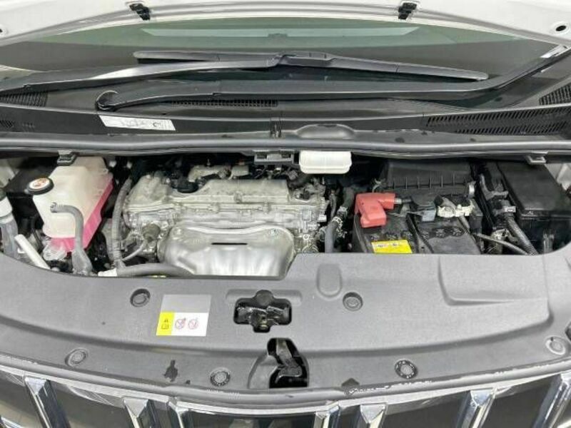 ALPHARD-17