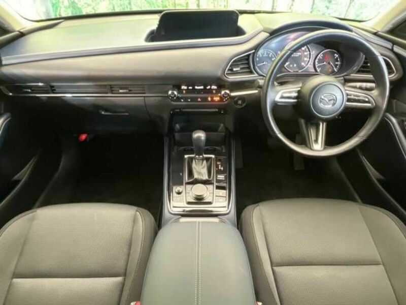 CX-30-1