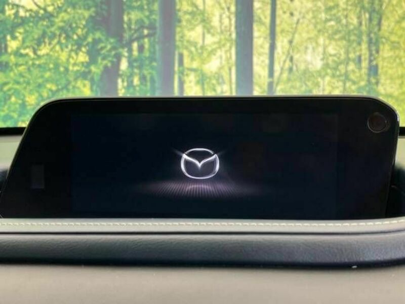 CX-30-2