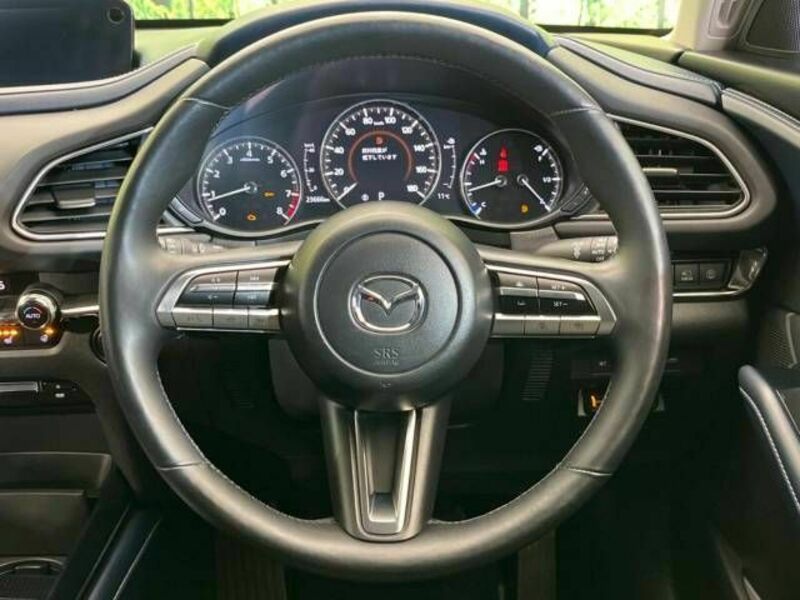 CX-30-10