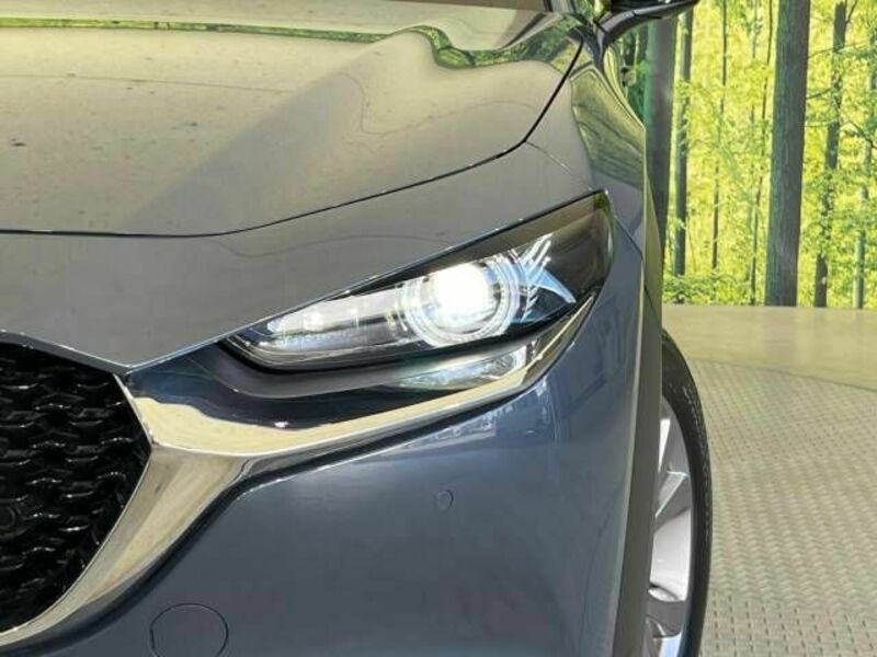 CX-30-11