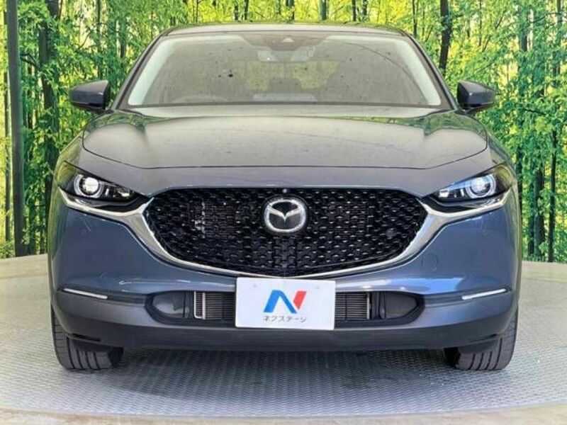 CX-30-13