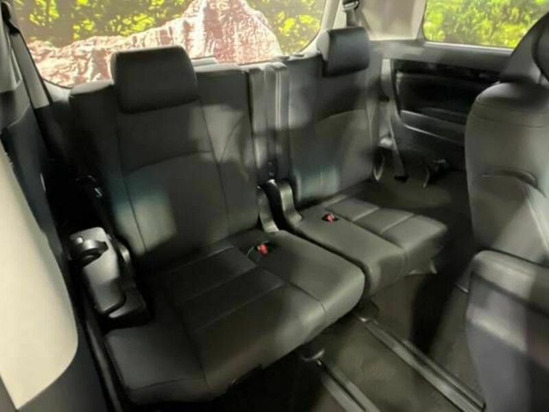 ALPHARD-10