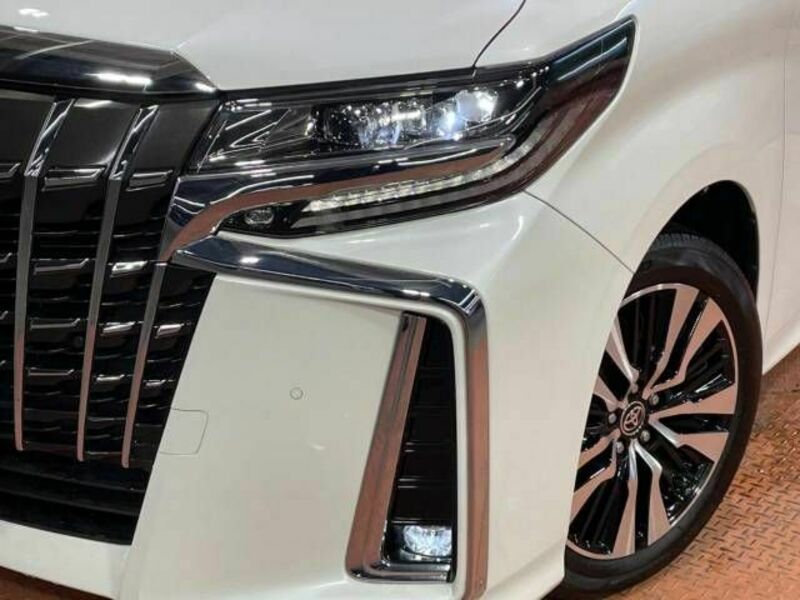 ALPHARD-13