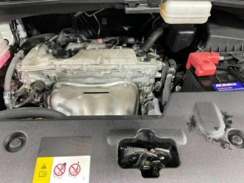 ALPHARD-19