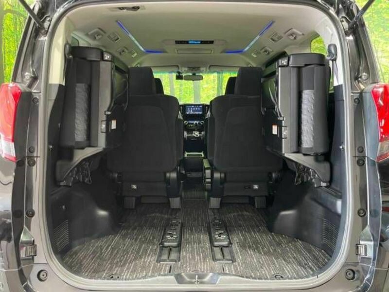 ALPHARD-10