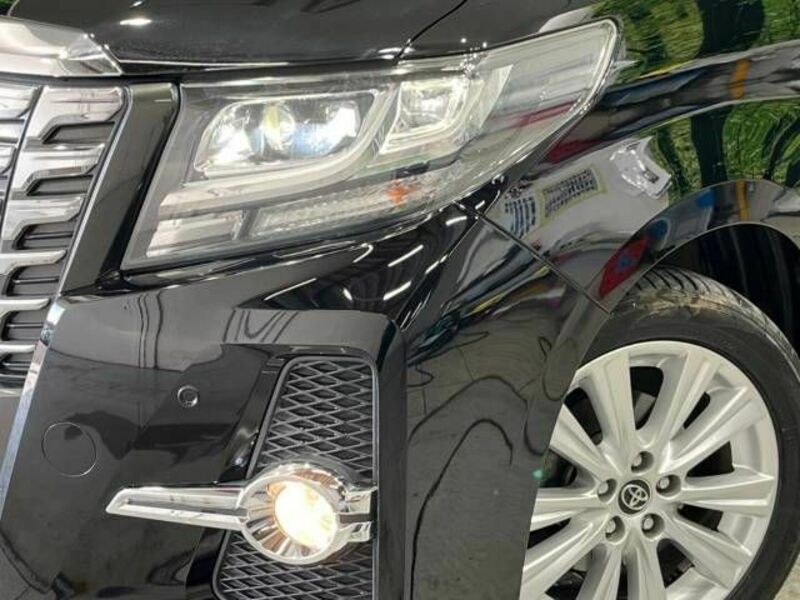 ALPHARD-12