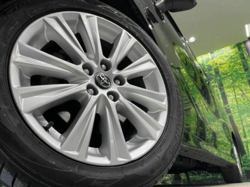ALPHARD-13