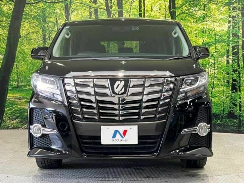 ALPHARD-14