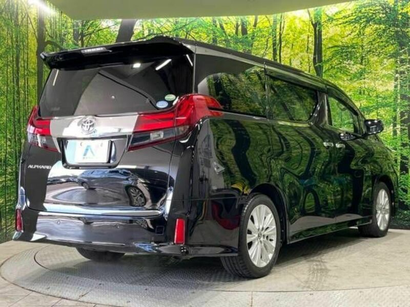 ALPHARD-16