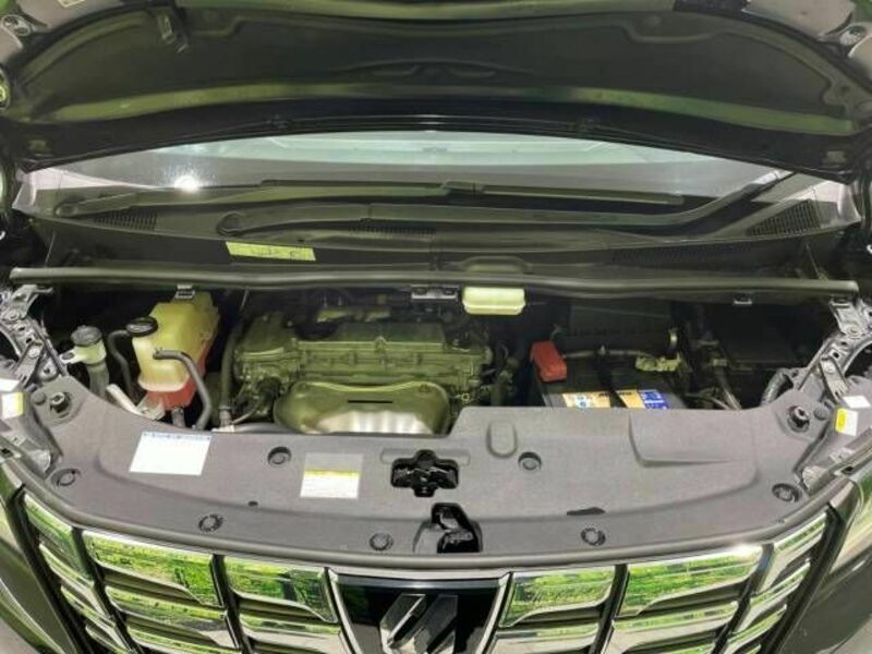ALPHARD-17