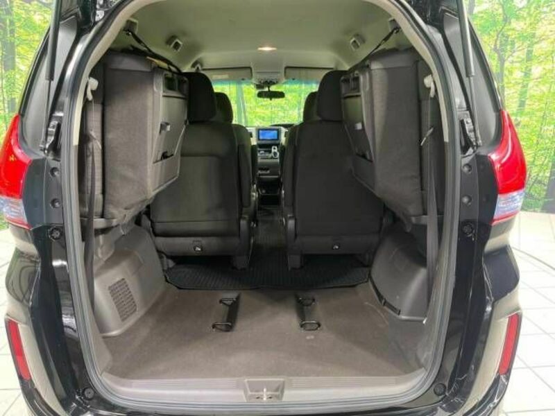 FREED HYBRID-10