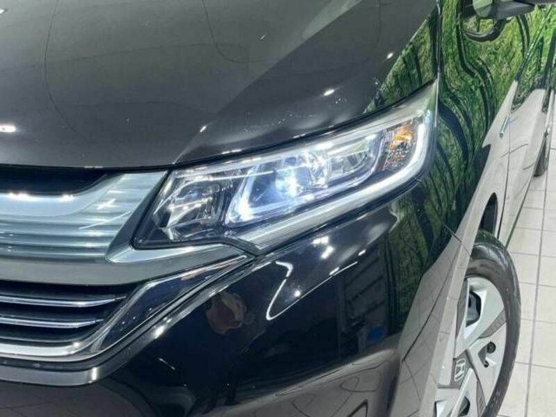FREED HYBRID-12