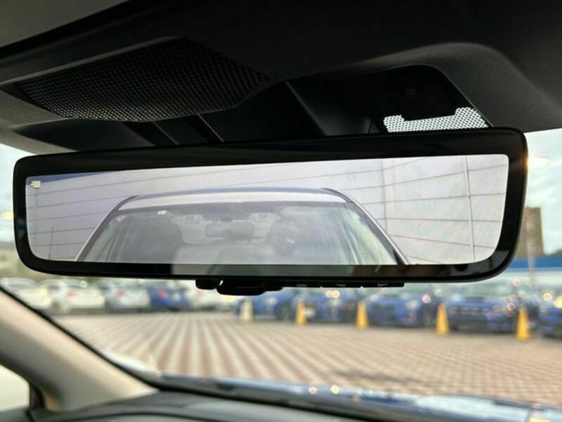 LEVORG-3