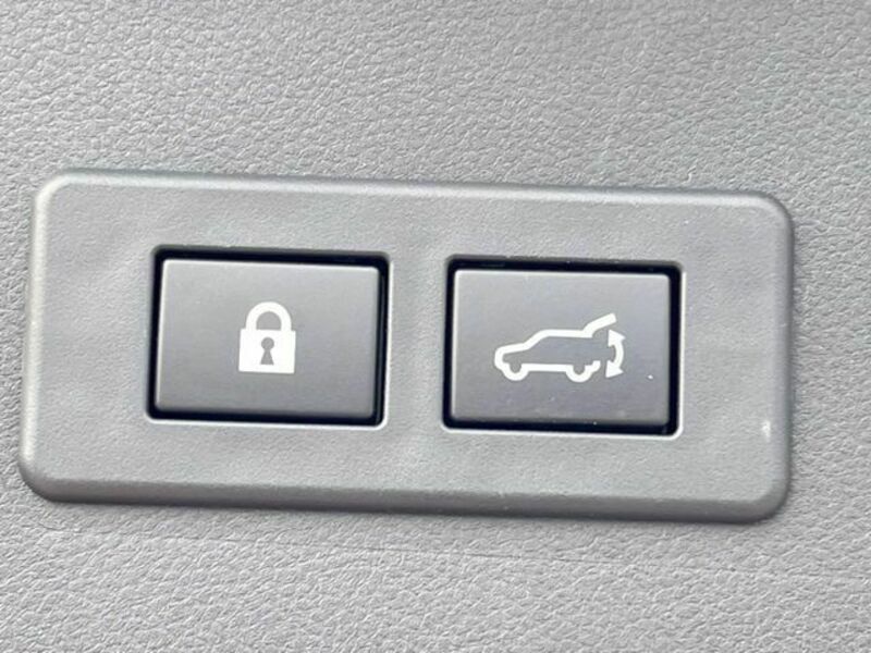 LEVORG-6