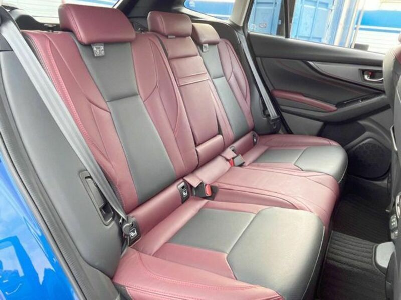 LEVORG-9