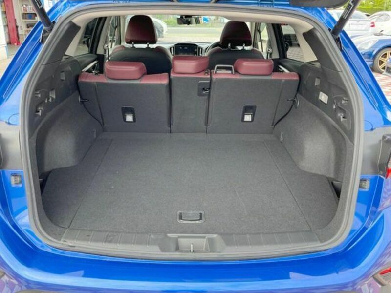 LEVORG-10