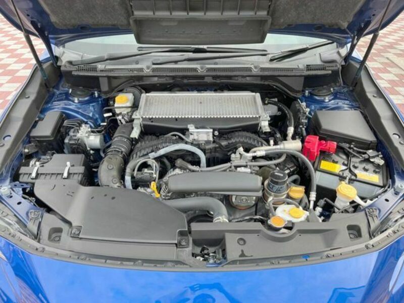 LEVORG-17