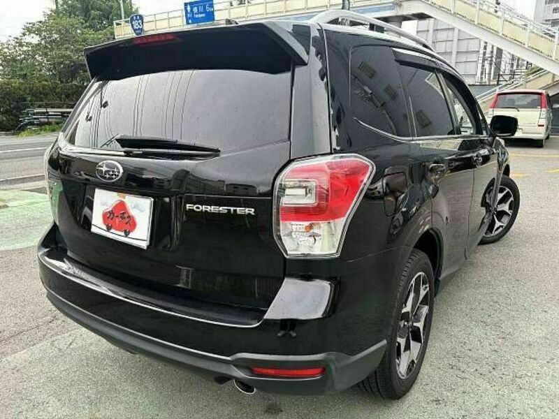 FORESTER-2