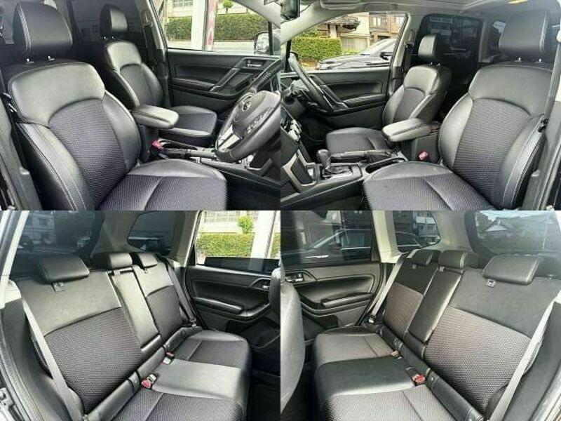 FORESTER-3