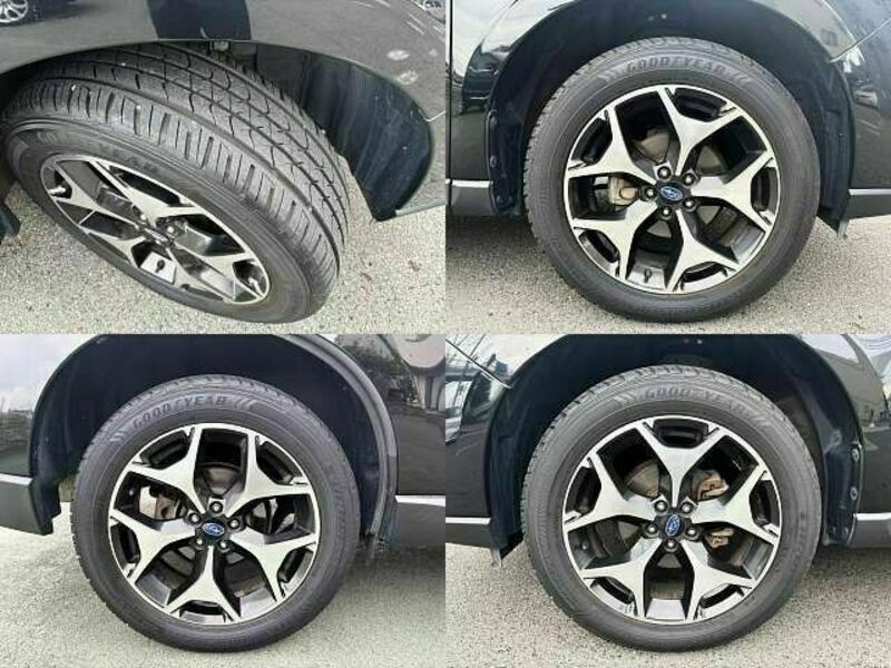 FORESTER-7