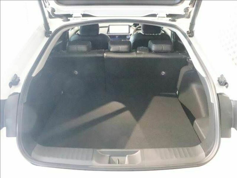 PRIUS-17