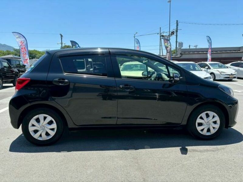 VITZ-3