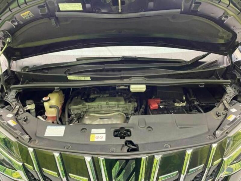 ALPHARD-17