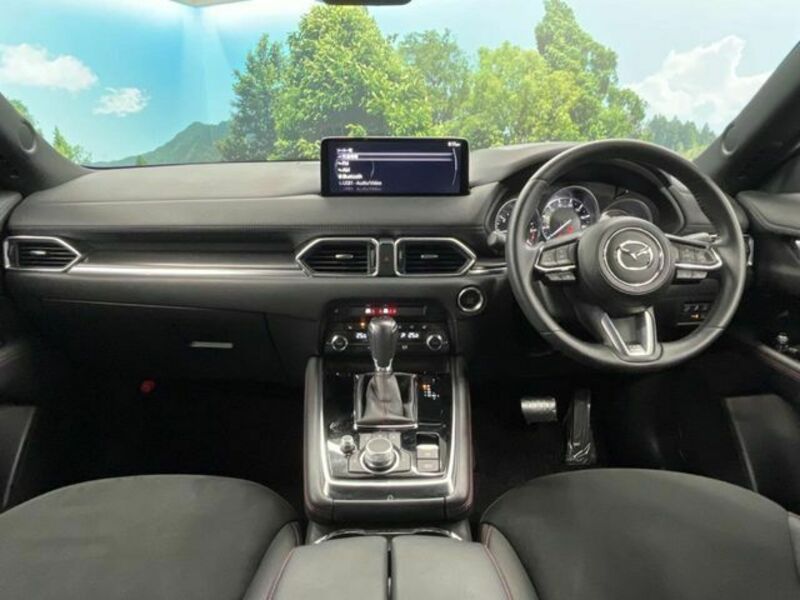 CX-8-1