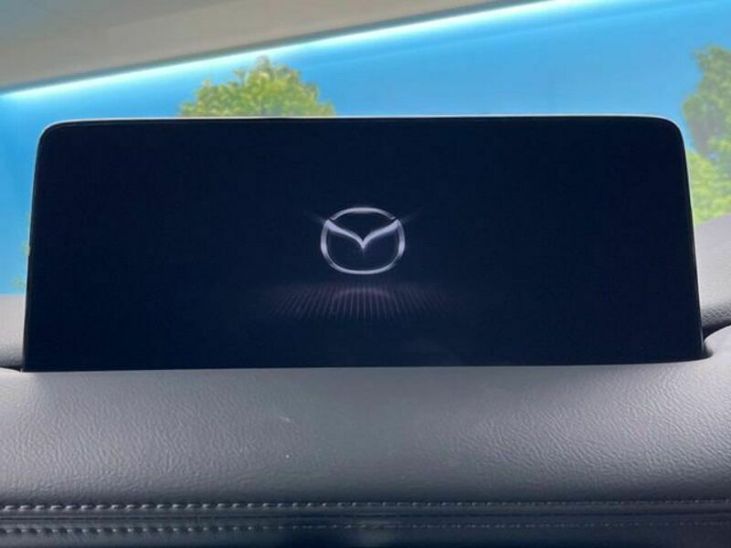 CX-8-2