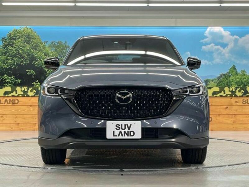 CX-8-13