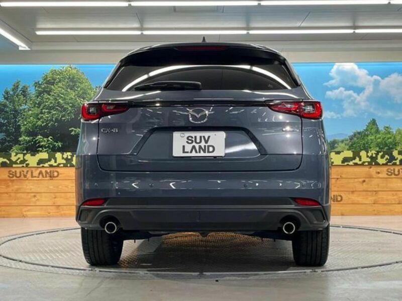 CX-8-14